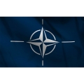 NATO LIPP