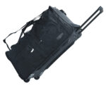 McAllister reisikott L